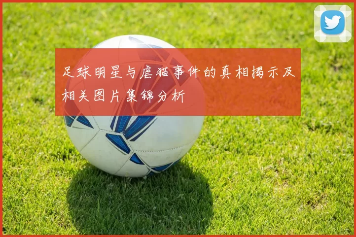 足球明星与虐猫事件的真相揭示及相关图片集锦分析