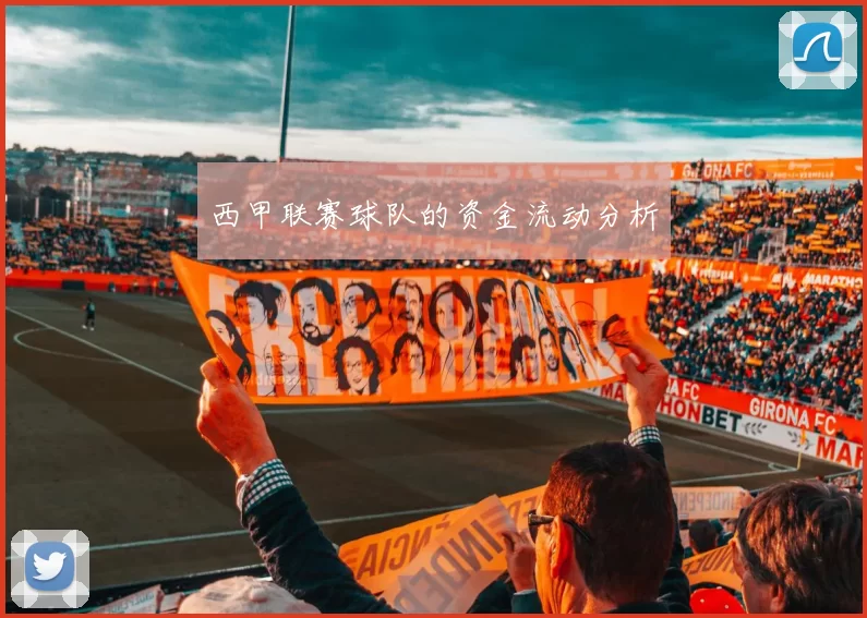 西甲联赛球队的资金流动分析