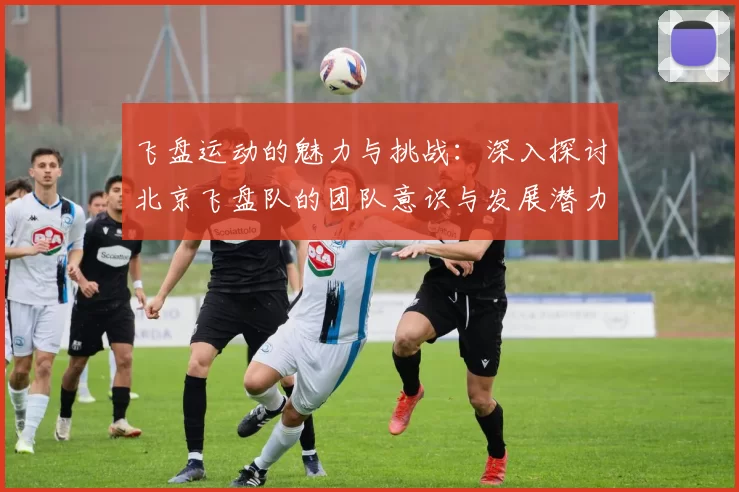 飞盘运动的魅力与挑战：深入探讨北京飞盘队的团队意识与发展潜力