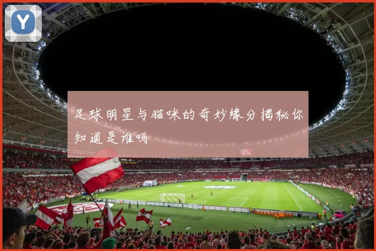 足球明星与猫咪的奇妙缘分揭秘你知道是谁吗