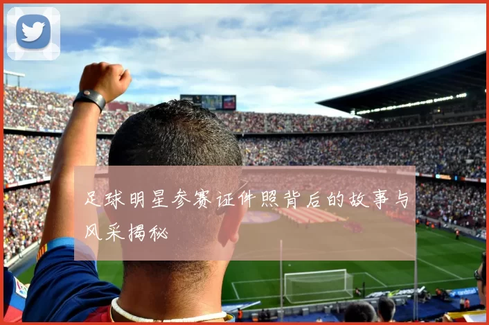 足球明星参赛证件照背后的故事与风采揭秘