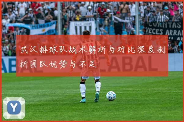 武汉排球队战术解析与对比深度剖析团队优势与不足