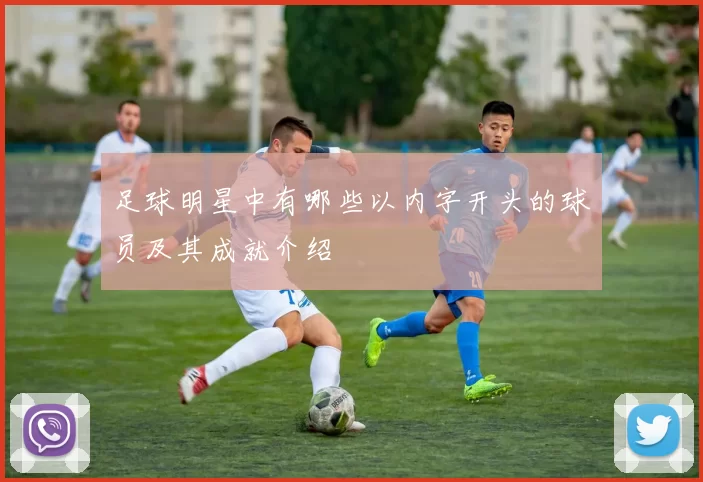 足球明星中有哪些以内字开头的球员及其成就介绍