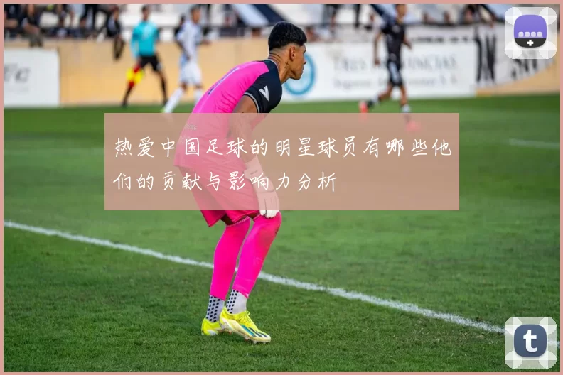 热爱中国足球的明星球员有哪些他们的贡献与影响力分析