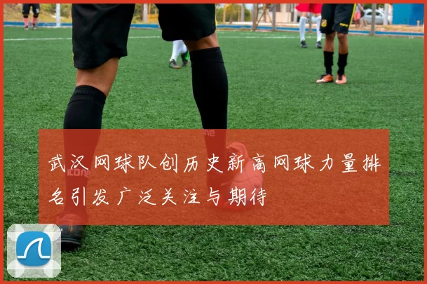 武汉网球队创历史新高网球力量排名引发广泛关注与期待