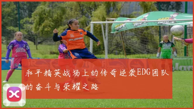 和平精英战场上的传奇逆袭EDG团队的奋斗与荣耀之路