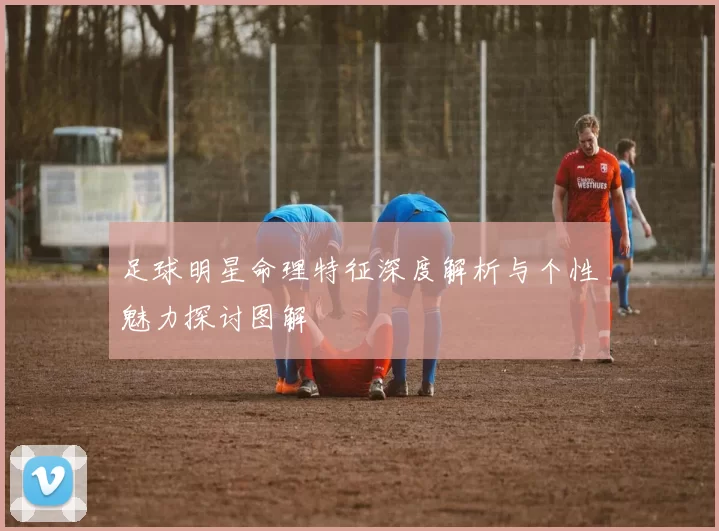 足球明星命理特征深度解析与个性魅力探讨图解