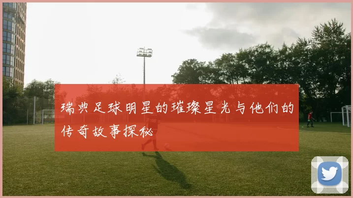 瑞典足球明星的璀璨星光与他们的传奇故事探秘