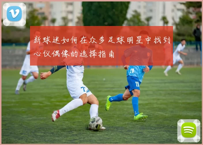 新球迷如何在众多足球明星中找到心仪偶像的选择指南