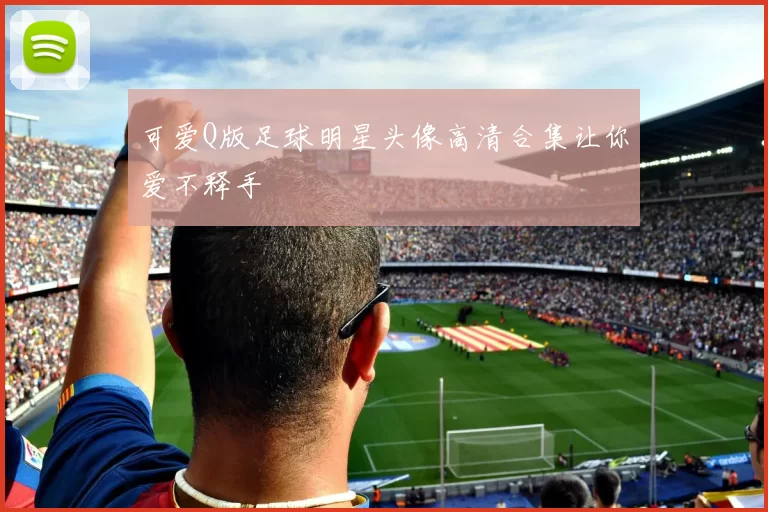 可爱Q版足球明星头像高清合集让你爱不释手