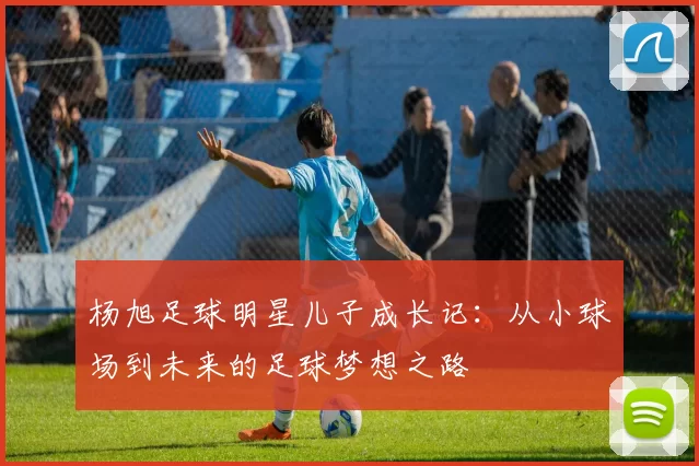 杨旭足球明星儿子成长记：从小球场到未来的足球梦想之路