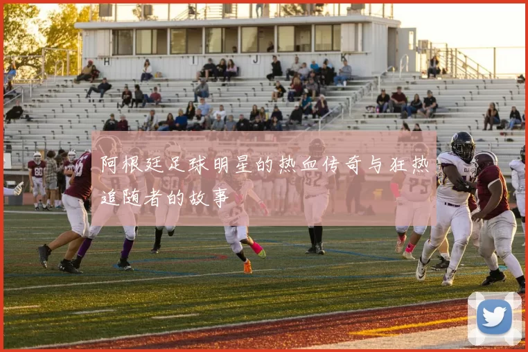 阿根廷足球明星的热血传奇与狂热追随者的故事