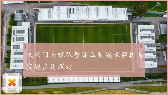 武汉羽毛球队整体压制战术解析与实战应用探讨