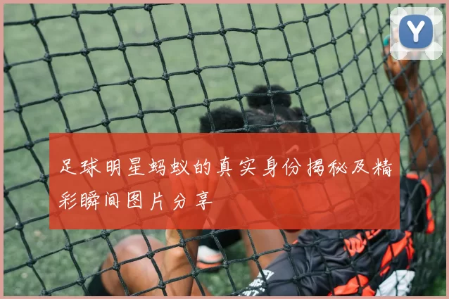 足球明星蚂蚁的真实身份揭秘及精彩瞬间图片分享
