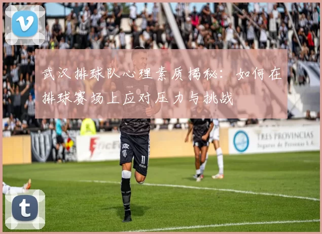武汉排球队心理素质揭秘：如何在排球赛场上应对压力与挑战
